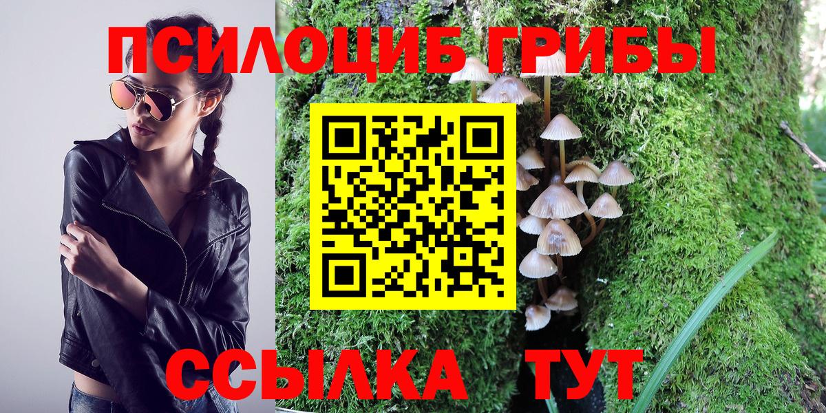 Галлюциногенные грибы GOLDEN TEACHER  Вход с VPN  Зерноград  Галлюциногенные грибы ЛСД 